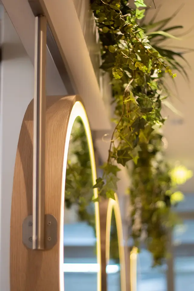 Espejos redondos con luz cálida y plantas colgantes en el estudio.